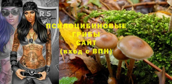 индика Белоозёрский