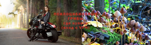 тгк Белокуриха