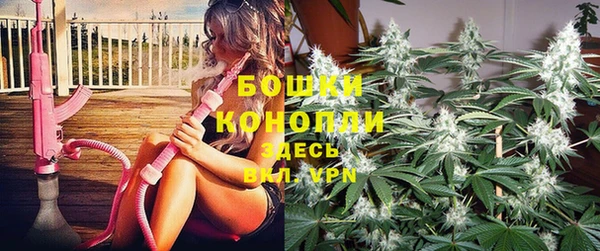 тгк Белокуриха