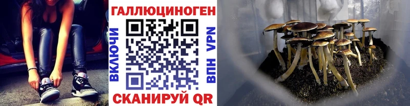 Псилоцибиновые грибы Cubensis  закладка  Ершов 
